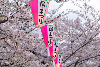 樱花粉色