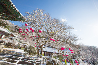 挂着红灯笼的万延寺雪景