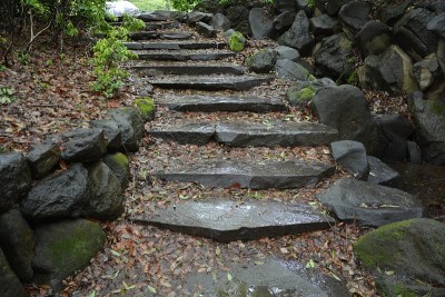 雨路