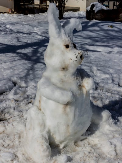 一只雪做的兔子