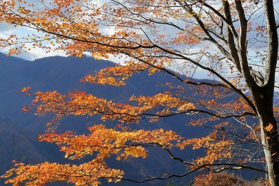 日本，秩父山顶风光