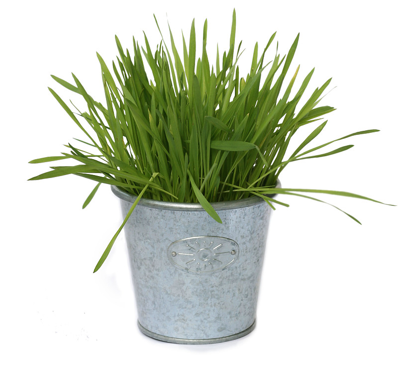 草
