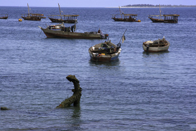海滨,桑给巴尔