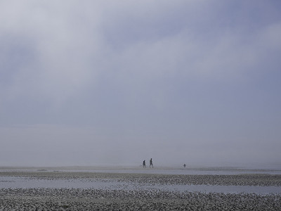 低潮- Vadehavet - 2018年7月
