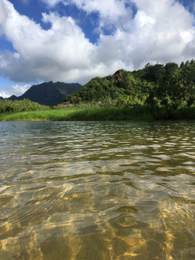 夏威夷考艾岛哈纳雷海湾的怀奥里河，进入太平洋。