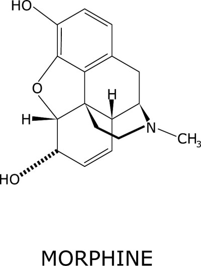 吗啡分子结构载体，在白色背景上分离并标记其名称。阿片类镇痛药，存在于某些植物中，用于减轻疼痛感。