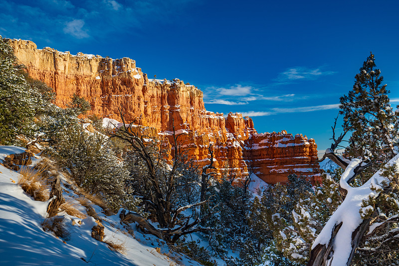 布莱斯峡谷的hoodoo被雪覆盖