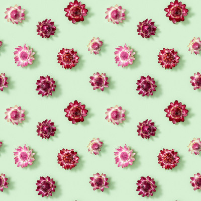 无缝隙花纹，干花花蕾近，花小