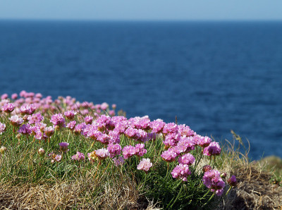 海岸