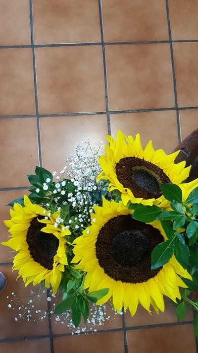 自然的照片