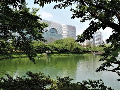 美丽的首尔。Songpa Naru公园