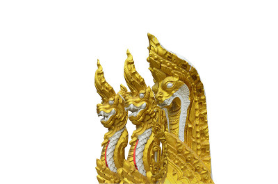 极护