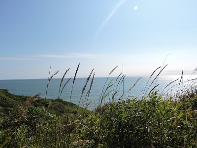 海洋的观点