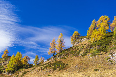 alpe devero 秋季 风景