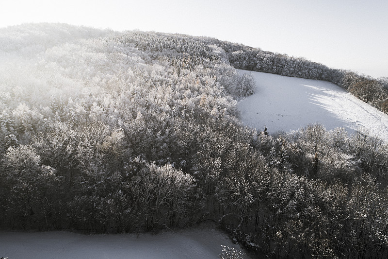 空中的冬季仙境与下奥地利雪林的嗡嗡声