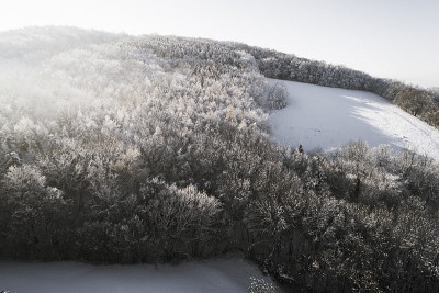空中的冬季仙境与下奥地利雪林的嗡嗡声