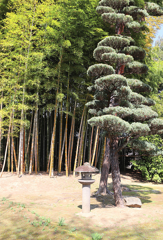 日本冈山小石川园的装饰石灯笼