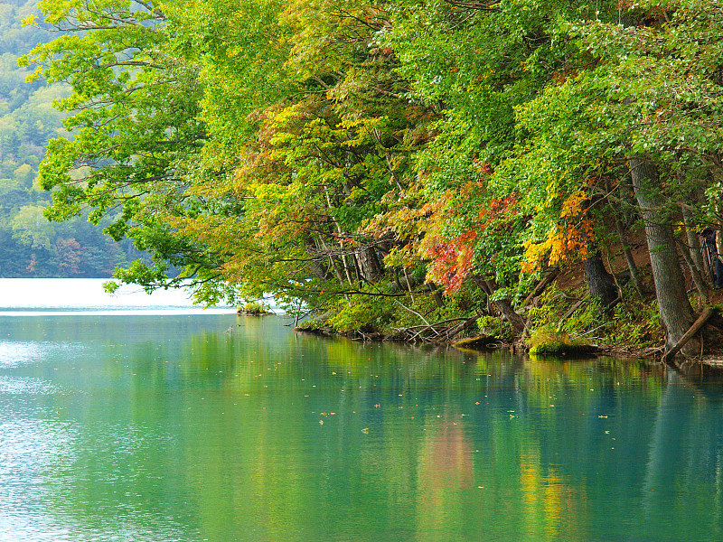 秋天北海道风景