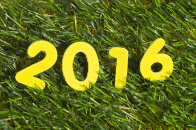 2016年人工草