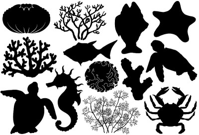 海洋生物的轮廓、贝壳、鱼、珊瑚、海马、螃蟹和海龟。