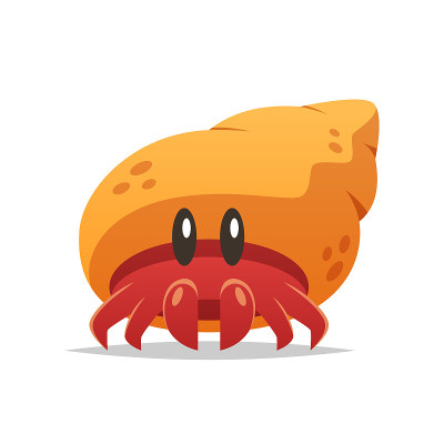 Cartoon hermit crab vector isolated illustration