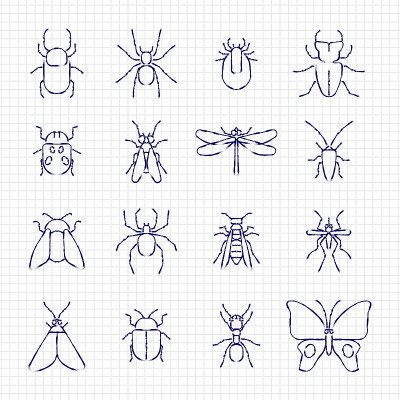 素描画线昆虫图标收集