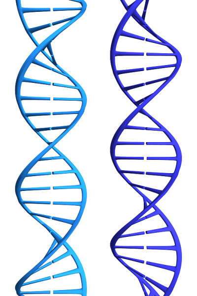 蓝色Dna