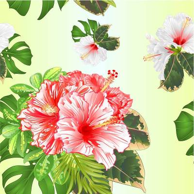 无缝纹理的花束与热带花卉粉红色和白色的木槿，舍夫拉，philodendron和榕树自然背景复古矢量插