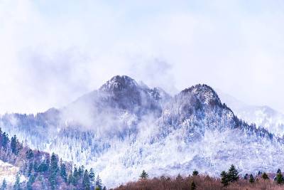 冬天的风景