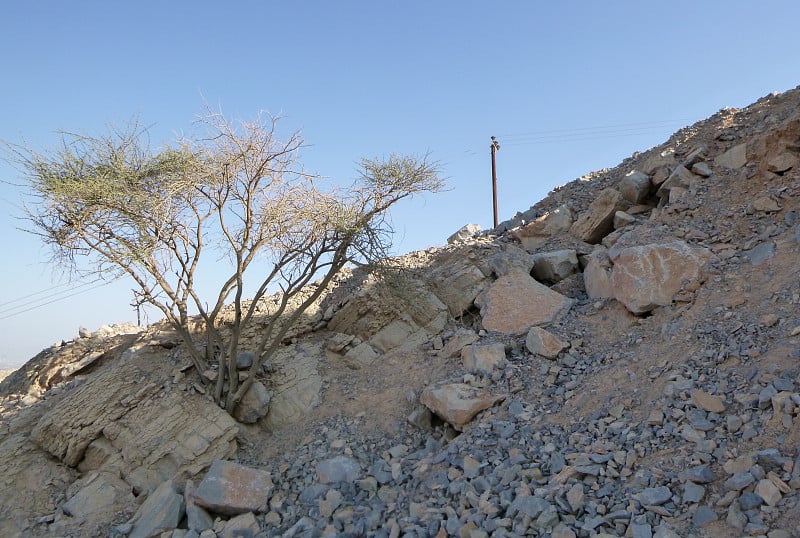 哈贾尔山脉整洁的哈特村。另外地区。阿联酋