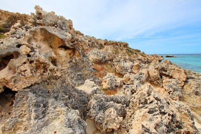 Rottnest岛,澳大利亚