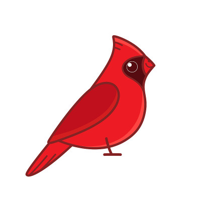 鸟