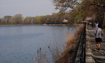 在湖边奔跑