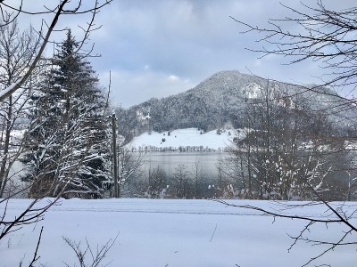 漫步在上巴伐利亚白雪覆盖的小路上。