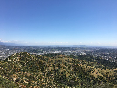 山