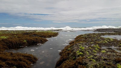 印度尼西亚Sukabumi, Minajaya海滩上的岩石、水和海浪的照片