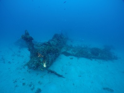 二战时日本海军的杰克水上飞机