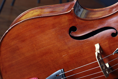 Violoncello