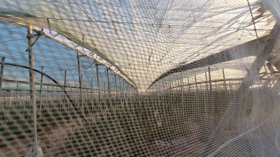 英国皇家空军番茄工厂