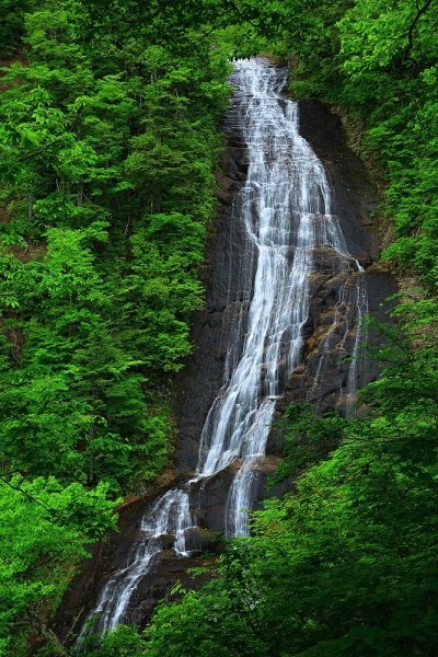 夏林或谷