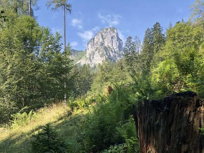 视图Horndlwand