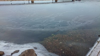 结冰的河