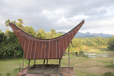 传统的芦苇谷仓，Rantepao, Tana Toraja