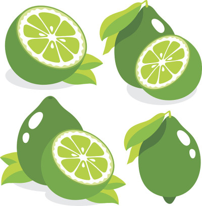 新鲜的酸橙矢量插图