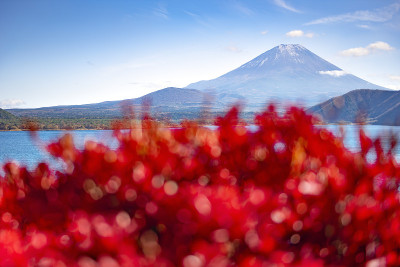 日本元津湖秋日富士山