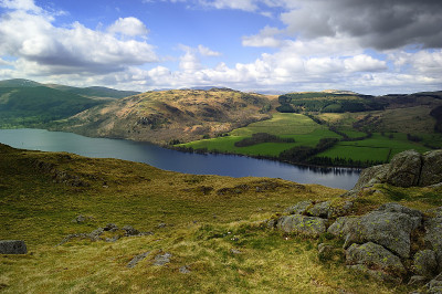 Gobarrow