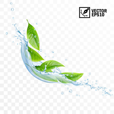 真实透明孤立的矢量下降溅水与树叶