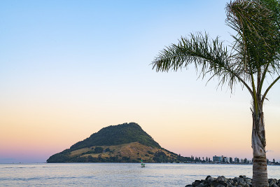 从硫磺角穿过陶兰加港的地平线上的地标芒格努伊山