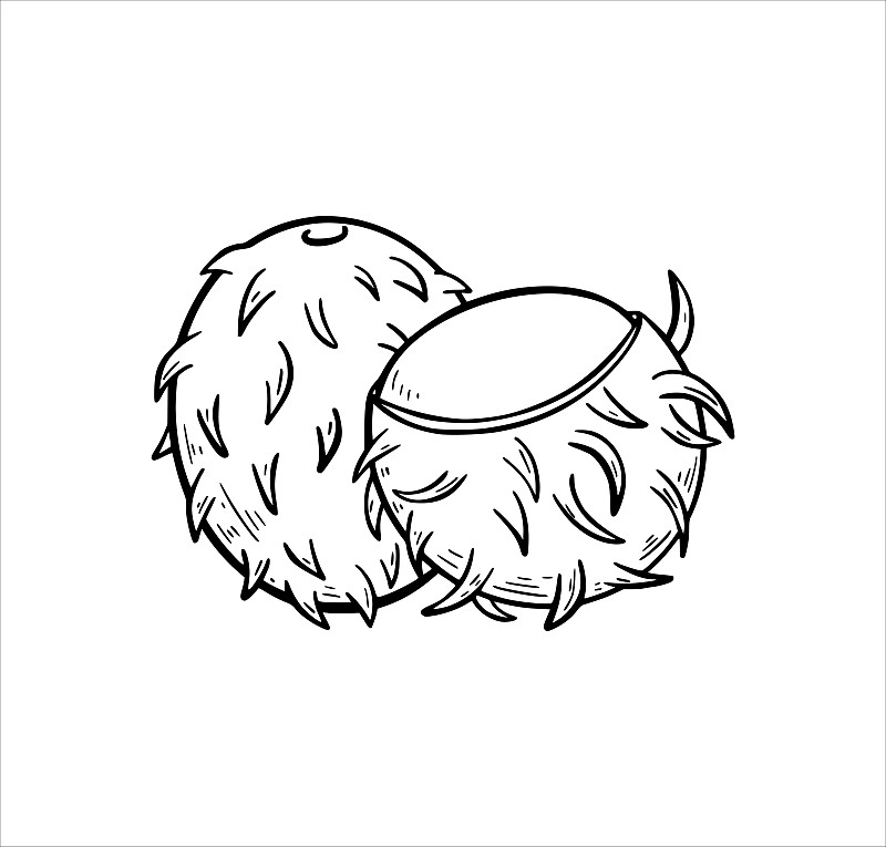 红毛丹