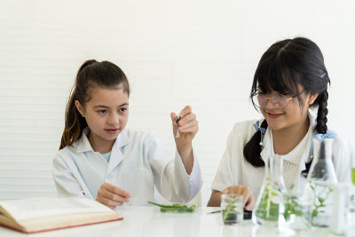 一群儿童科学家在实验室用玻璃器皿学习和分析细菌。科学和教育。研究者与发现概念